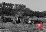 Standbild Präsident Franklin Roosevelt Georgia USA, 1936, aus Sekunde 59 historischem Filmmaterial Videoclip 65675046212