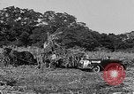 Standbild Präsident Franklin Roosevelt Georgia USA, 1936, aus Sekunde 60 historischem Filmmaterial Videoclip 65675046212