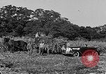 Standbild Präsident Franklin Roosevelt Georgia USA, 1936, aus Sekunde 61 historischem Filmmaterial Videoclip 65675046212
