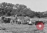 Standbild Präsident Franklin Roosevelt Georgia USA, 1936, aus Sekunde 62 historischem Filmmaterial Videoclip 65675046212