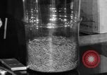 Image of Capsules in glass container United States USA, 1940, second 40 stock footage video 65675046219