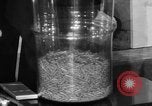Image of Capsules in glass container United States USA, 1940, second 43 stock footage video 65675046219