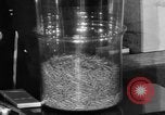 Image of Capsules in glass container United States USA, 1940, second 46 stock footage video 65675046219
