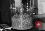 Image of Capsules in glass container United States USA, 1940, second 47 stock footage video 65675046219