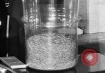 Image of Capsules in glass container United States USA, 1940, second 49 stock footage video 65675046219