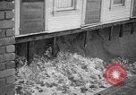 Image vagues dommages riverain de la propriété Redondo Beach California USA, 1940, de la seconde 15 séquences d'archives historiques vidéo 65675046230