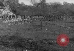 Image of Battle of Monte Cassino Italy, 1944, second 15 stock footage video 65675046241
