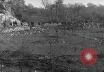 Image of Battle of Monte Cassino Italy, 1944, second 16 stock footage video 65675046241