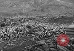 Image of Battle of Monte Cassino Italy, 1944, second 56 stock footage video 65675046245