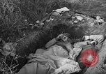 Image of Battle of Monte Cassino Italy, 1944, second 53 stock footage video 65675046247
