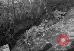 Image of Battle of Monte Cassino Italy, 1944, second 60 stock footage video 65675046247