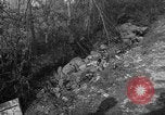Image of Battle of Monte Cassino Italy, 1944, second 61 stock footage video 65675046247