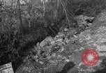Image of Battle of Monte Cassino Italy, 1944, second 62 stock footage video 65675046247