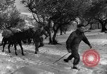 Image of Battle of Monte Cassino Italy, 1944, second 7 stock footage video 65675046250