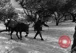 Image of Battle of Monte Cassino Italy, 1944, second 8 stock footage video 65675046250