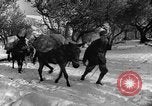 Image of Battle of Monte Cassino Italy, 1944, second 9 stock footage video 65675046250
