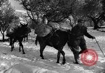 Image of Battle of Monte Cassino Italy, 1944, second 10 stock footage video 65675046250