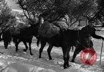 Image of Battle of Monte Cassino Italy, 1944, second 11 stock footage video 65675046250
