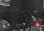 Image of Battle of Monte Cassino Italy, 1944, second 43 stock footage video 65675046250