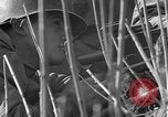 Image of Battle of Monte Cassino Italy, 1944, second 16 stock footage video 65675046255