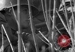 Image of Battle of Monte Cassino Italy, 1944, second 17 stock footage video 65675046255