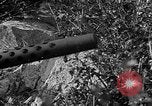 Standbild Schlacht um Monte Cassino Italien, 1944, aus Sekunde 32 historischem Filmmaterial Videoclip 65675046259