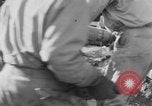 Image of Battle of Monte Cassino Italy, 1944, second 28 stock footage video 65675046269