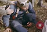 Image of B-17 returns to base France, 1943, second 17 stock footage video 65675046282