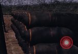 Image of B-17 Flying Fortress European Theater, 1943, second 20 stock footage video 65675046285