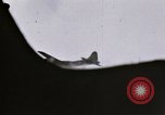 Image of USAAF B-17 mission European Theater, 1943, second 33 stock footage video 65675046290