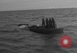 Image of United States sailors Normandy France, 1944, second 19 stock footage video 65675046301