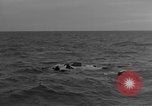 Image of United States sailors Normandy France, 1944, second 28 stock footage video 65675046301