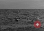 Image of United States sailors Normandy France, 1944, second 29 stock footage video 65675046301