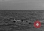 Image of United States sailors Normandy France, 1944, second 30 stock footage video 65675046301