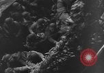 Image of D Day invasion World War 2 Normandy France, 1944, second 60 stock footage video 65675046317