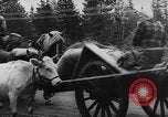 Image Retraite allemande Kemijarvi Finlande, 1944, de la seconde 13 séquences d'archives historiques vidéo 65675046320