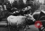 Image Retraite allemande Kemijarvi Finlande, 1944, de la seconde 14 séquences d'archives historiques vidéo 65675046320