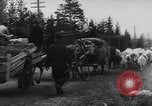 Image Retraite allemande Kemijarvi Finlande, 1944, de la seconde 17 séquences d'archives historiques vidéo 65675046320