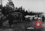 Image Retraite allemande Kemijarvi Finlande, 1944, de la seconde 18 séquences d'archives historiques vidéo 65675046320