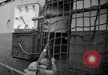 Image of USS Samuel Chase and Normandy invasion on D-Day France, 1944, second 10 stock footage video 65675046331