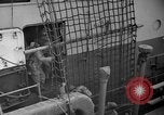 Image of USS Samuel Chase and Normandy invasion on D-Day France, 1944, second 50 stock footage video 65675046331