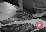 Image of interpreting film United States USA, 1940, second 15 stock footage video 65675046337