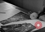 Image of interpreting film United States USA, 1940, second 20 stock footage video 65675046337
