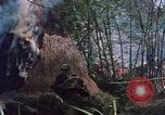 Image of U.S. military forces in Vietnam Vietnam, 1969, second 24 stock footage video 65675046341