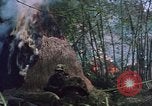 Image of U.S. military forces in Vietnam Vietnam, 1969, second 25 stock footage video 65675046341