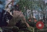 Image of U.S. military forces in Vietnam Vietnam, 1969, second 26 stock footage video 65675046341