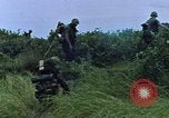 Image of American Marine ground and air operations in Vietnam Vietnam, 1967, second 10 stock footage video 65675046342