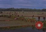 Image of American Marine ground and air operations in Vietnam Vietnam, 1967, second 12 stock footage video 65675046342