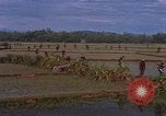 Image of American Marine ground and air operations in Vietnam Vietnam, 1967, second 13 stock footage video 65675046342