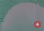 Image of American Marine ground and air operations in Vietnam Vietnam, 1967, second 51 stock footage video 65675046342